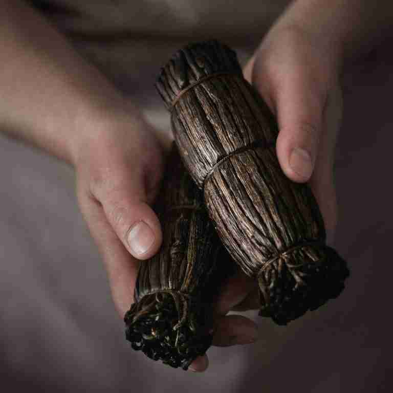picture of a hand holding two bunches of vanilla pods