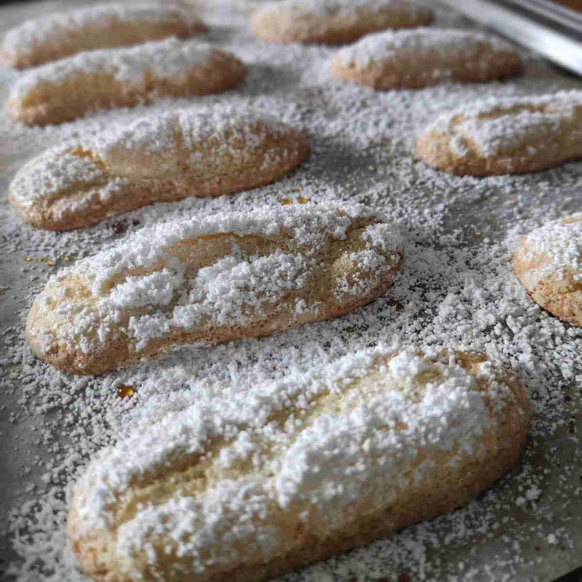 Image of sponge fingers dusted with icing sugar on a baking tray, you can learn how to make this recipe on the blog of cookery school Gourmandises Academie, Cambridge