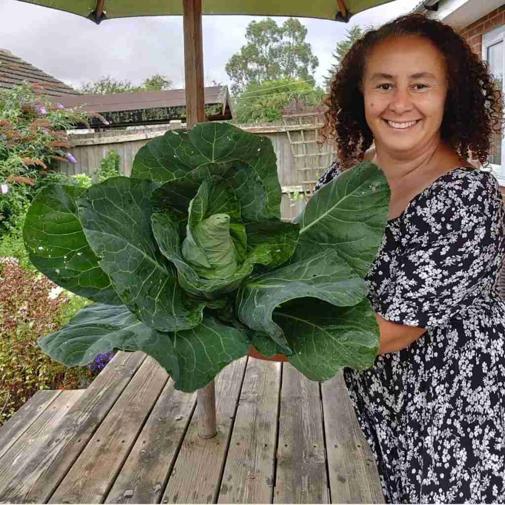 Picture of a lady holding a huge cabbage