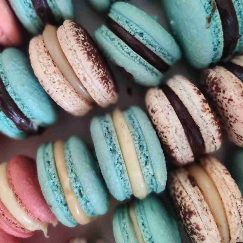 image of multicoloured macarons, turquoise, pink and white dusted with cocoa