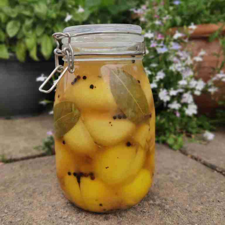 image of a jar filled with lemons, bay leaves and black peppercorns, you can find the recipe at cooking school gourmandises academie, Cambridge