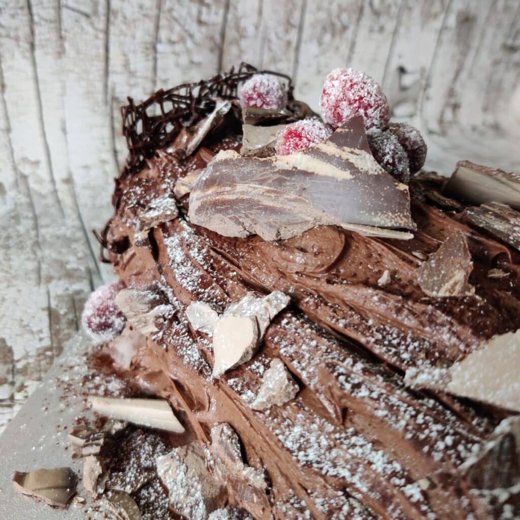 close up image of a yule chocolate log showing the chocolate bark and frosted cranberries, from a christmas baking class at baking school, Gourmandises Academie, Cambridge